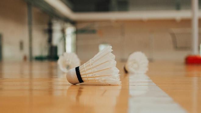 Photo of a shuttlecock